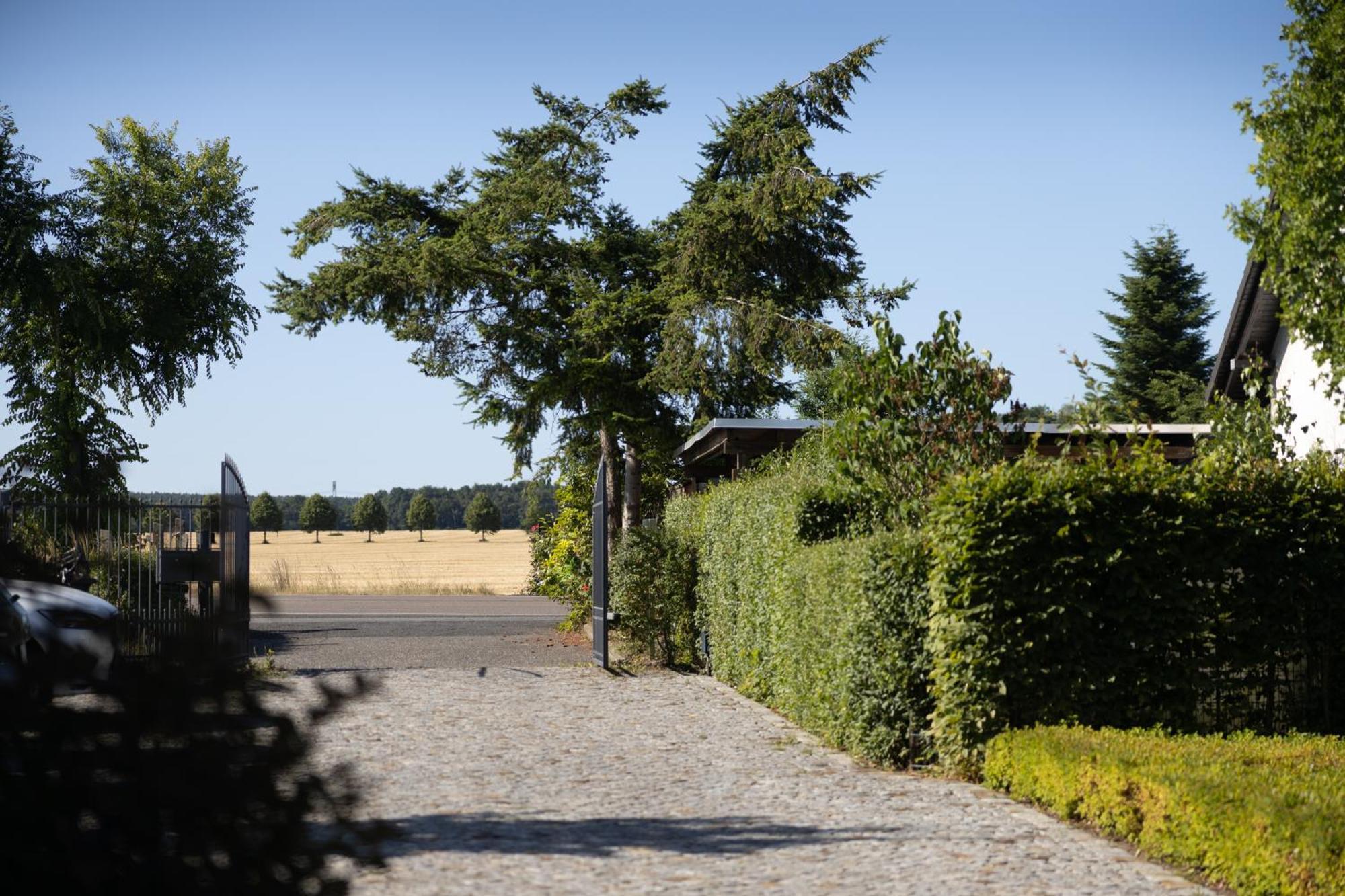 Pension Kleiner Koenig Struppen-Siedlung Exterior photo